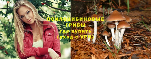 ALPHA-PVP Алексин