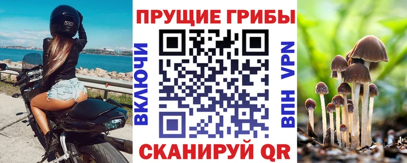 Галлюциногенные грибы Cubensis  kraken ссылки  Опочка 