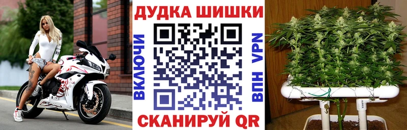 Шишки марихуана планчик Опочка